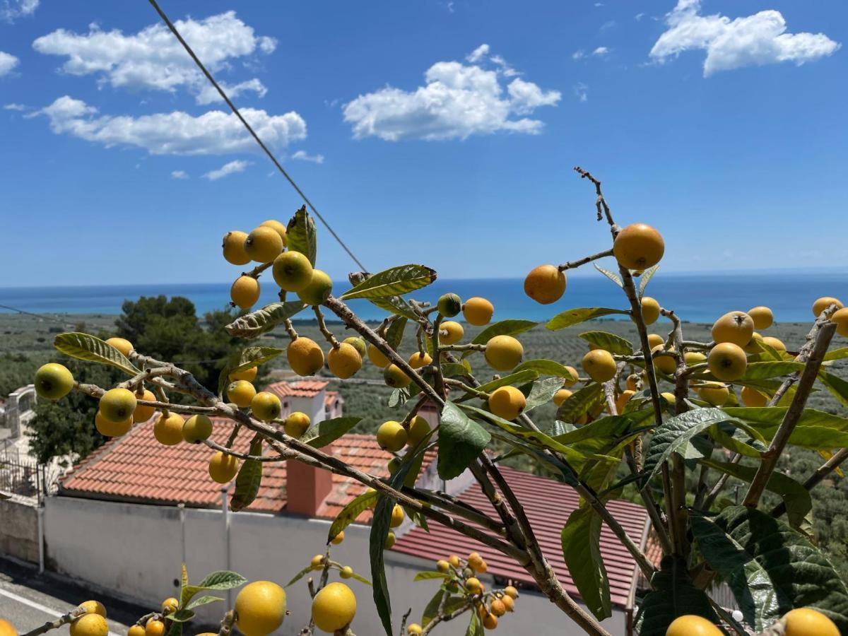 Villetta - Qui Dove Il Mare Luccica - Affitti Brevi Italia Монте-Сант'Анджело Екстер'єр фото