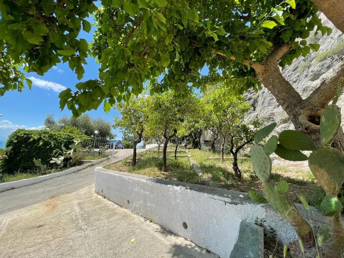 Villetta - Qui Dove Il Mare Luccica - Affitti Brevi Italia Монте-Сант'Анджело Екстер'єр фото
